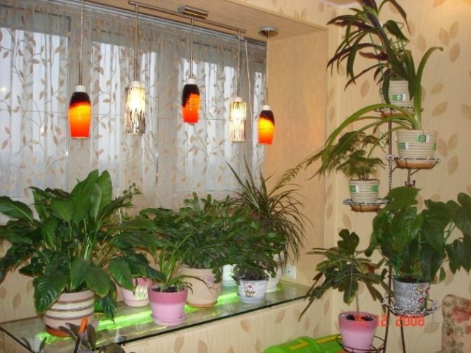 Маленький зимний сад на балконе