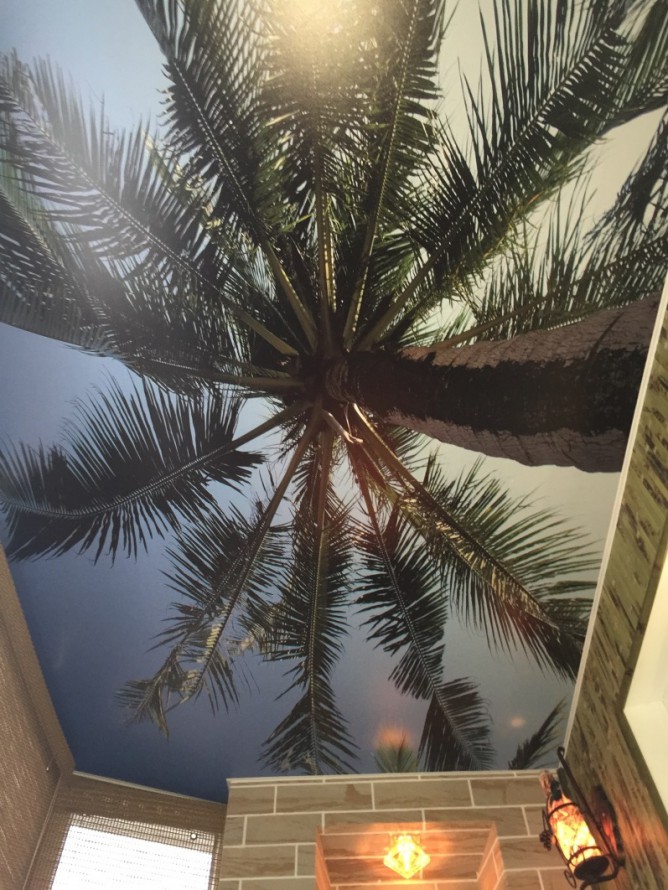 Натяжной потолок