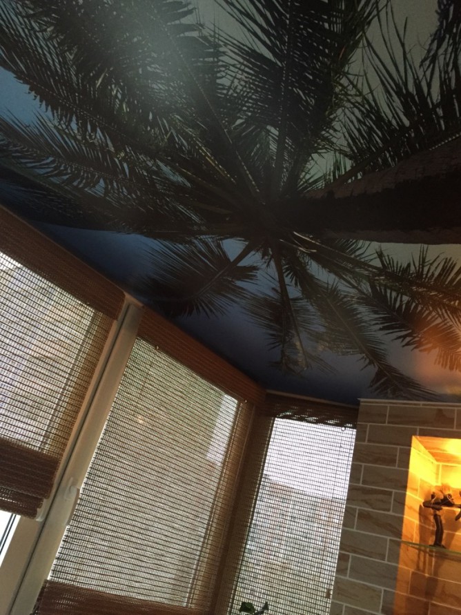 Экзотический потолок