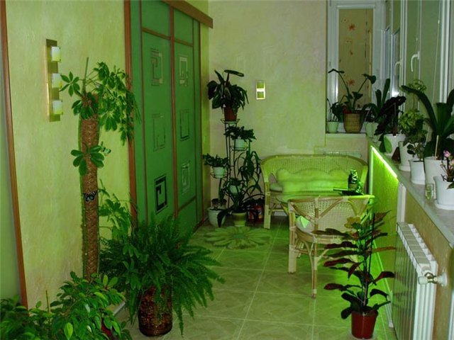 Фитодизайн лоджии